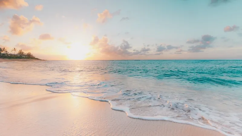 Compressed Landscape Image Showcase
